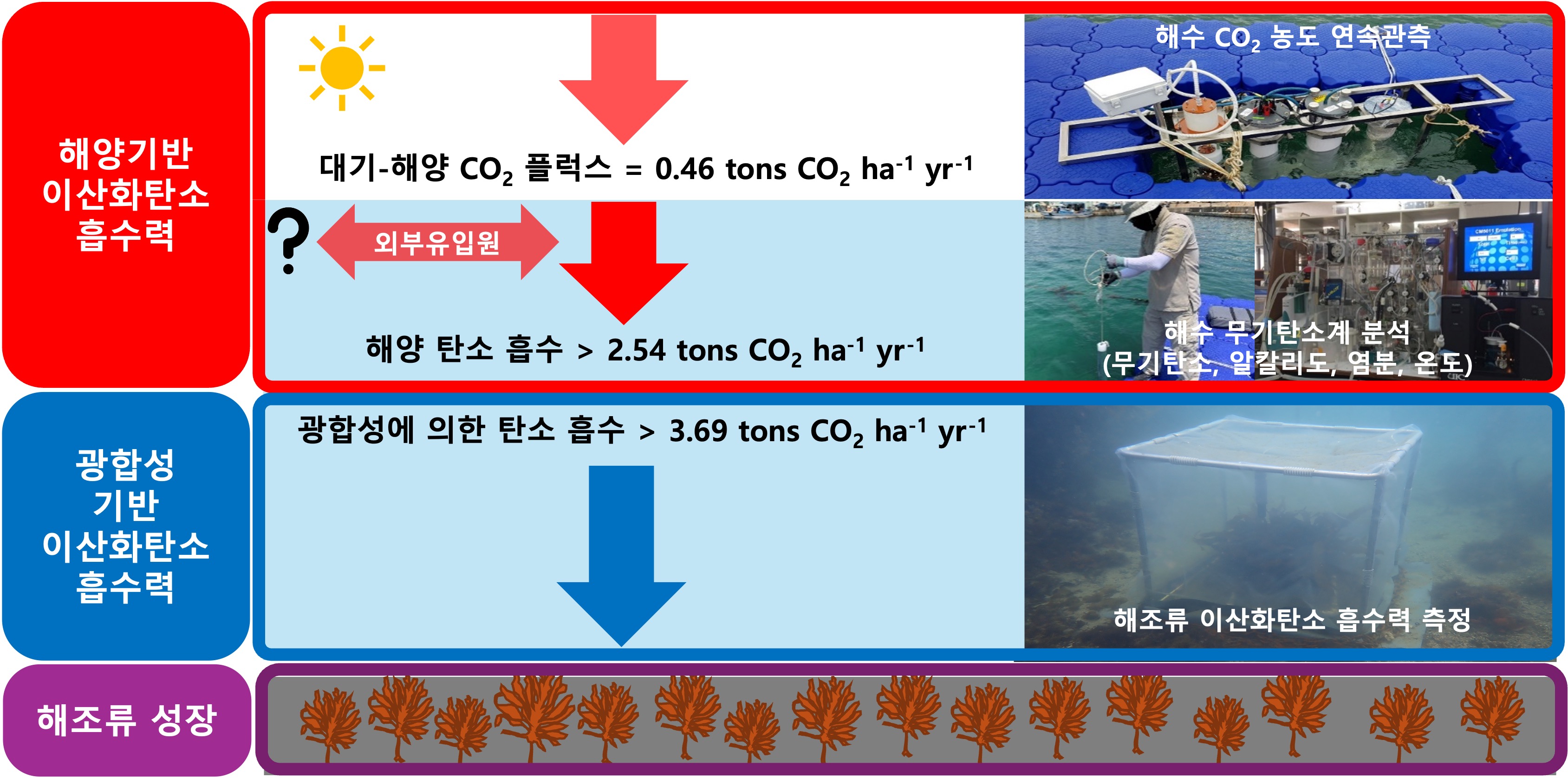 군산대학교 연구팀 바다숲 탄소흡수력 신규결과 보고